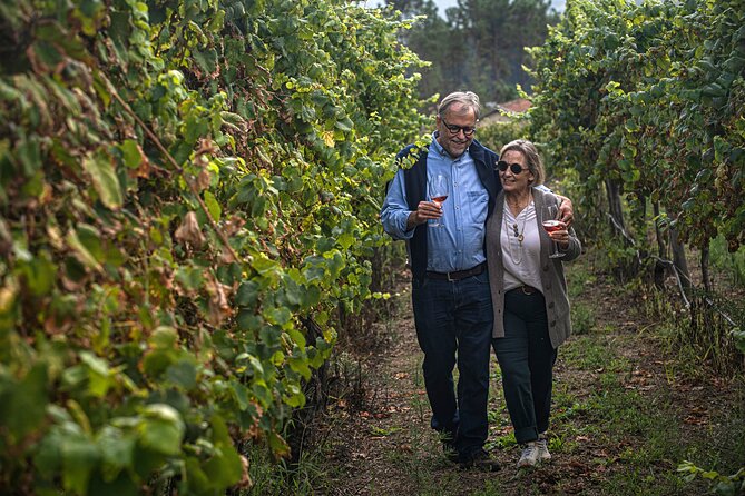 Wine Tasting & Lunch from Porto | Quinta de Santa Cristina - Three Quinta de Santa Cristina wines at the table