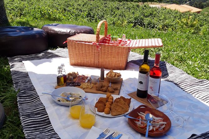 Wine Tasting & Lunch from Porto | Quinta de Santa Cristina - A regional picnic lunch with dessert