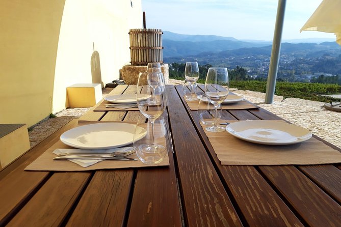 Wine Tasting & Lunch from Porto | Quinta de Santa Cristina - From grape reception to the bottling area