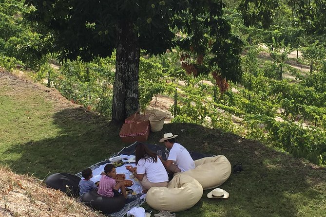 Wine Tasting & Lunch | Quinta de Santa Cristina Vinho Verde - Leaving Braga for Vinho Verde country