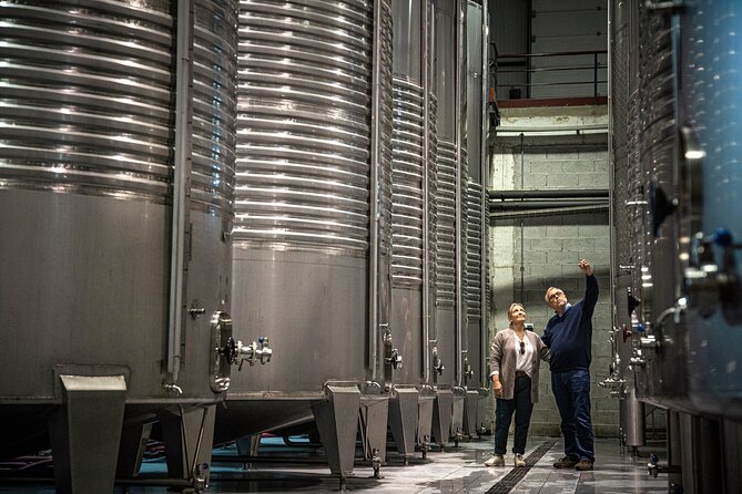 Wine Tasting & Lunch | Quinta de Santa Cristina Vinho Verde - Inside the winery, from grapes to bottles