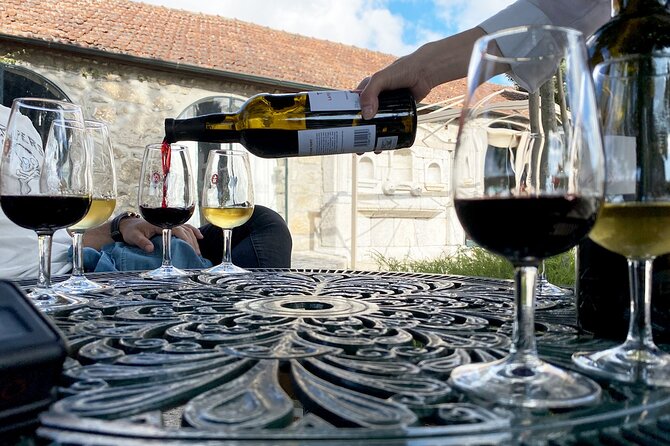Wine Tasting with Tapas Walking Tour in Porto - Timing, transport, and practical comfort