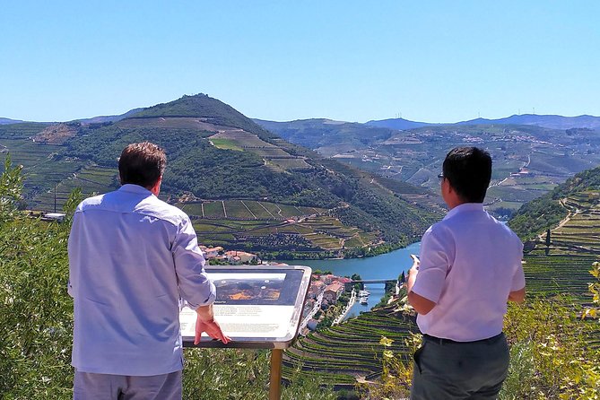 Wine Venture and Boat Trip in Douro Valley from Porto - What the $199.53 price includes