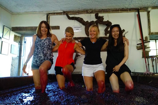 Wine Venture and Boat Trip in Douro Valley from Porto - Timing, comfort, and practical limits