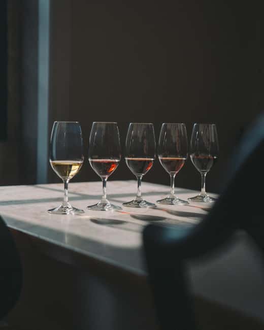 WOW Porto: The Wine School Workshops and Tastings - A compact wine lesson inside WOW Porto